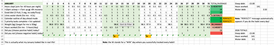 Daily Habits Spreadsheet - 10 Habits